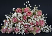 Jak odpowiedzieć na Dziękuję bardzo?