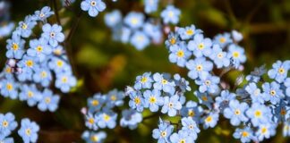 Dlaczego dziecko zapomina? Dlaczego dziecko zapomina?