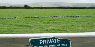 Czy rodzic ma prawo zakazać wychodzenia z domu? Czy rodzic ma prawo zakazać wychodzenia z domu?