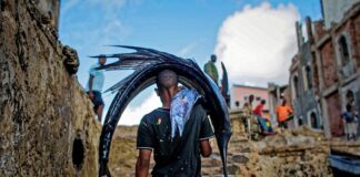 Czy dorosły pies może chodzić po schodach?