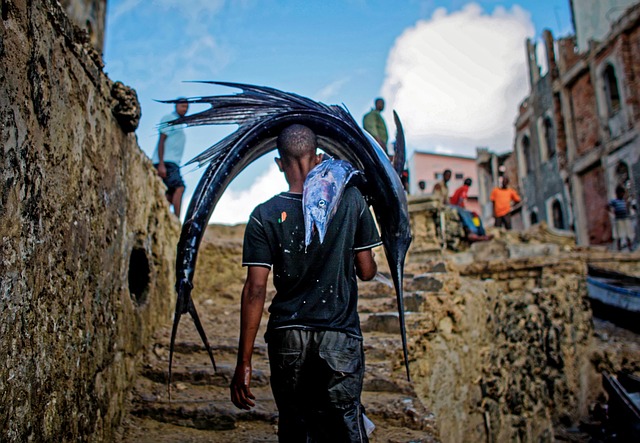 Czy dorosły pies może chodzić po schodach? Czy dorosły pies może chodzić po schodach?