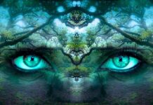 Jak chronić tożsamość w internecie?