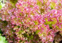 Jak często zmienia się pościeli w hotelu?