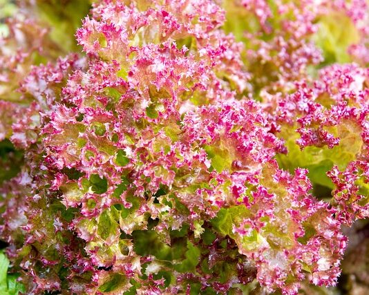 Jak często zmienia się pościeli w hotelu?