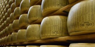 Czym się różni grana padano od Parmigiano? Czym się różni grana padano od Parmigiano?