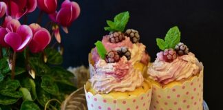 Co zamiast serka mascarpone do tiramisu?