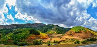 Czy nakładki na sutki pomagają? Czy nakładki na sutki pomagają?