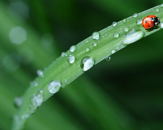 Dlaczego nie powinno się zmieniać pościeli w piątek?