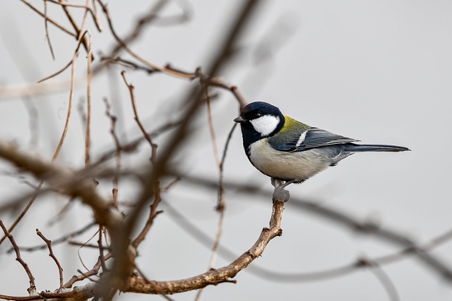 Co zrobić żeby sutki cały czas stały? Co zrobić żeby sutki cały czas stały?
