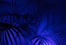 Kiedy legginsy są za małe?