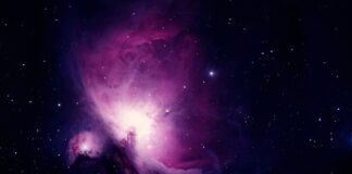 Ile trwa nauka karate?