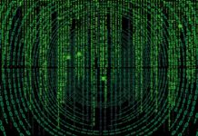 Skąd nazwa Pipę w siatkówce?