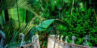 Ile kosztuje kurs kitesurfingu?