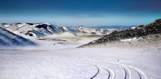 Jakie kijki do slalomu?