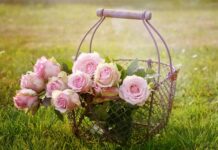 Jak zamontować kosz do koszykówki?