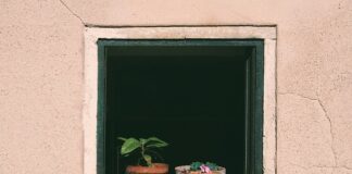 Kiedy podlewać boisko?