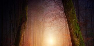 Z której strony pada cień? Z której strony pada cień?