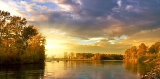 Kto i gdzie wymyślił koło?