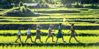 Ile kosztuje metr tartanu?