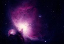 Ile czasu potrzeba na naukę jazdy na nartach? Ile czasu potrzeba na naukę jazdy na nartach?