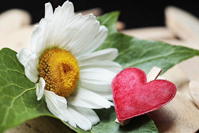 Dlaczego zacisk hamulcowy nie odbija? Dlaczego zacisk hamulcowy nie odbija?