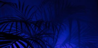 Czy legginsy są zdrowe?