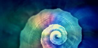 Jak nauczyć się skręcać na nartach?