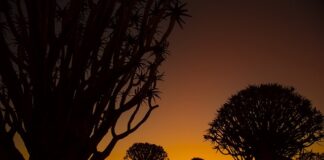 Ile strzał w kołczanie? Ile strzał w kołczanie?