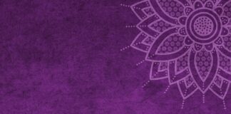 Ile wynosi mandat za brak kapoka?