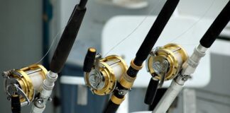 Jakie kołowrotki są dobre?