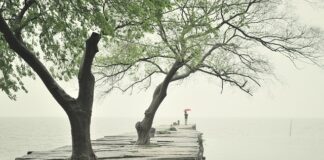 Jak ułożyć płyty gumowe? Jak ułożyć płyty gumowe?