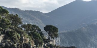 Ile kosztuje kurs windsurfing?