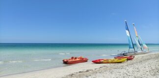 Jaka deska windsurfingowa na początek?